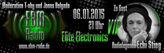 2014 01 06 elite electronics ecki stieg